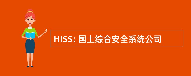 HISS: 国土综合安全系统公司