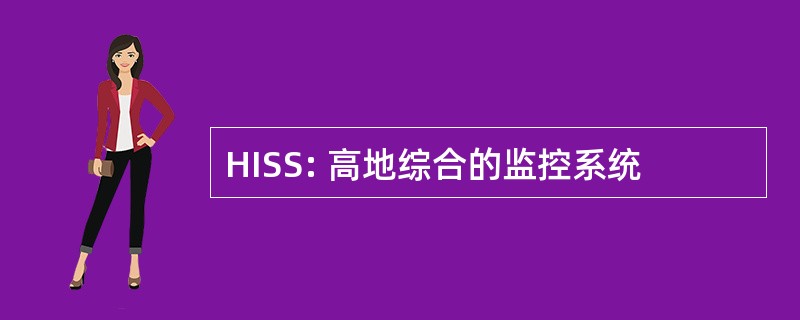 HISS: 高地综合的监控系统