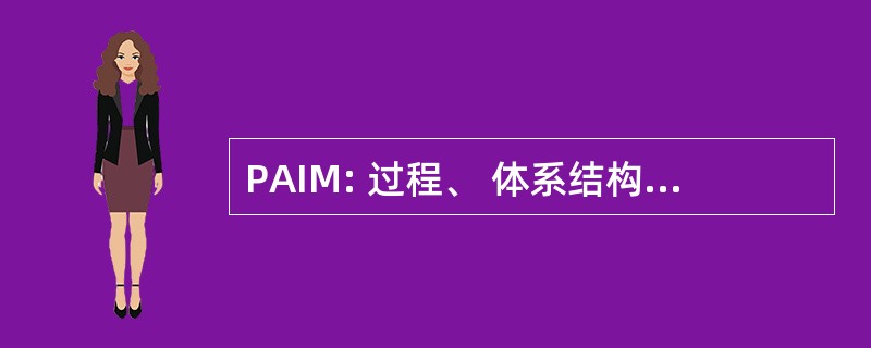 PAIM: 过程、 体系结构 & 信息管理