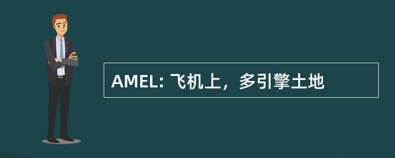 AMEL: 飞机上，多引擎土地