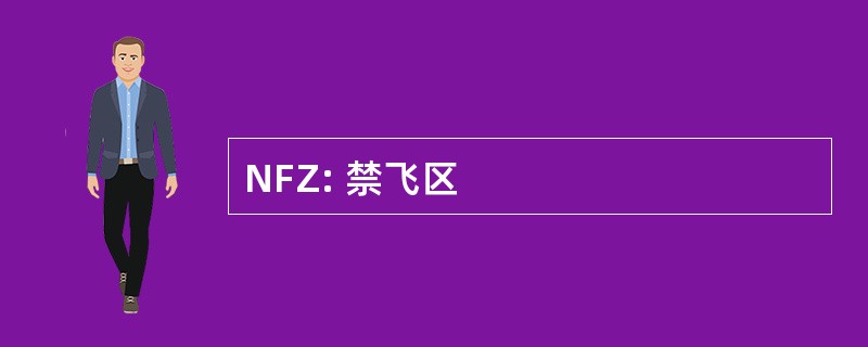 NFZ: 禁飞区