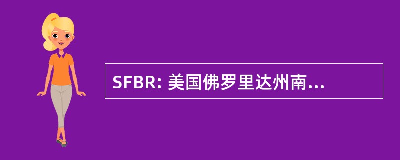 SFBR: 美国佛罗里达州南部业务报告