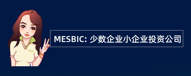 MESBIC: 少数企业小企业投资公司