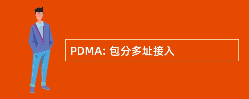 PDMA: 包分多址接入