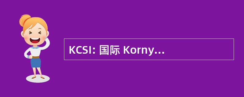 KCSI: 国际 Kornyk 计算机解决方案