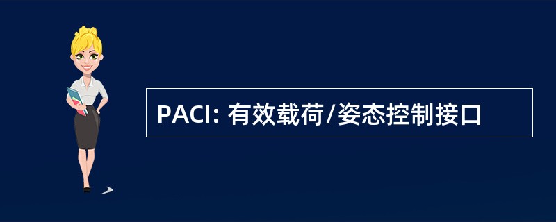 PACI: 有效载荷/姿态控制接口