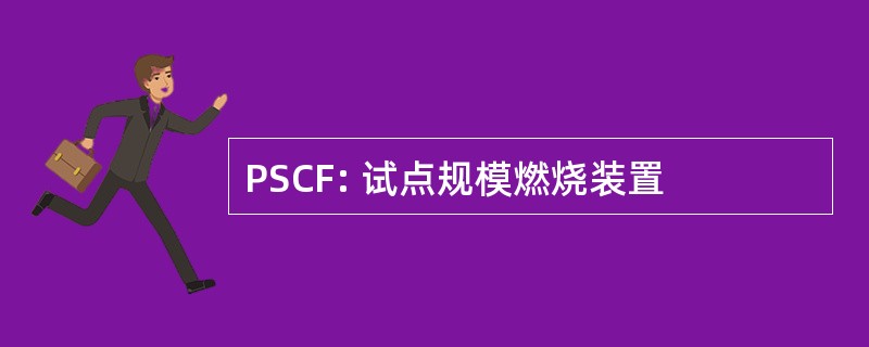 PSCF: 试点规模燃烧装置