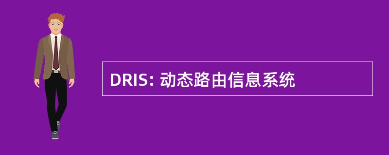 DRIS: 动态路由信息系统