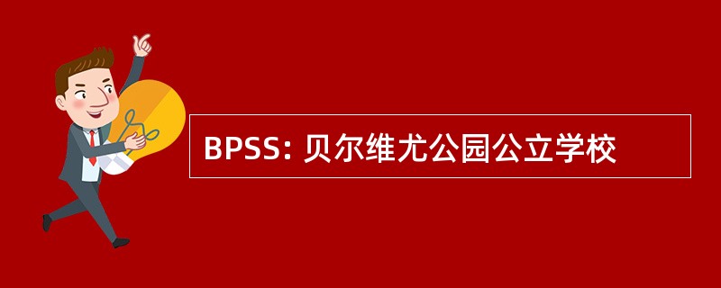 BPSS: 贝尔维尤公园公立学校