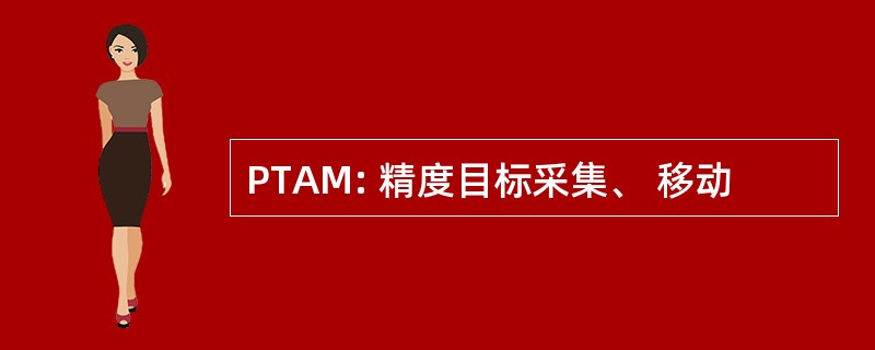 PTAM: 精度目标采集、 移动