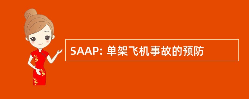 SAAP: 单架飞机事故的预防