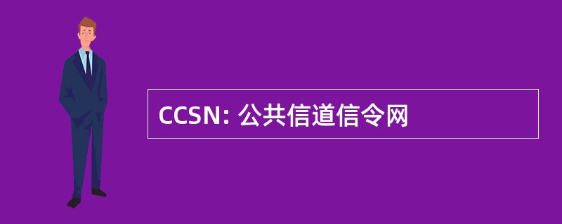 CCSN: 公共信道信令网