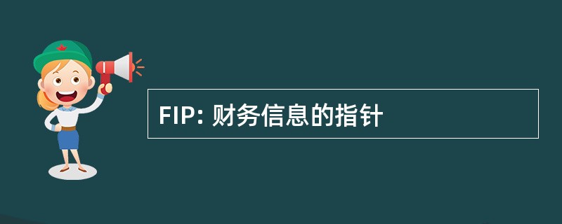 FIP: 财务信息的指针