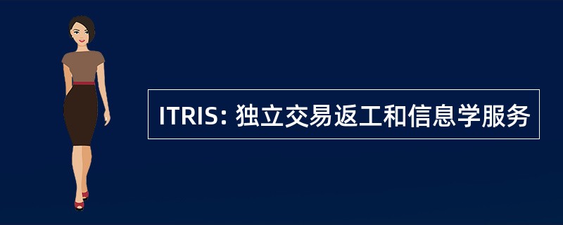 ITRIS: 独立交易返工和信息学服务