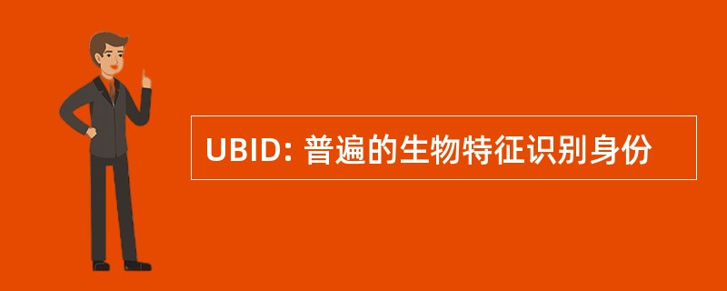 UBID: 普遍的生物特征识别身份