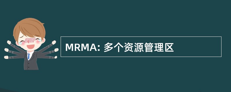 MRMA: 多个资源管理区