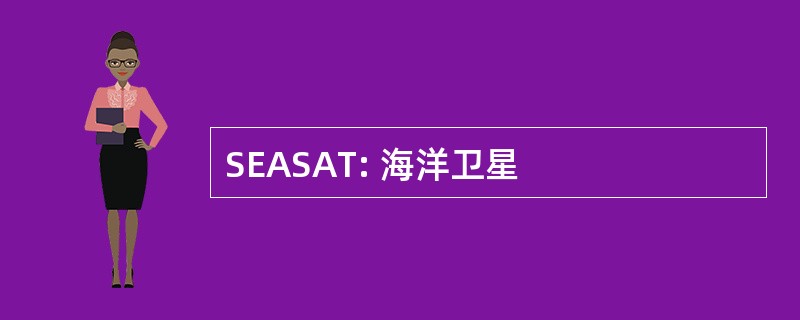 SEASAT: 海洋卫星