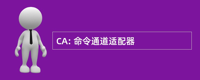 CA: 命令通道适配器