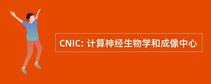 CNIC: 计算神经生物学和成像中心