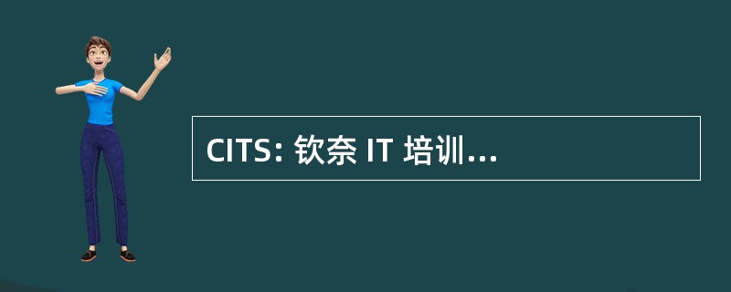 CITS: 钦奈 IT 培训解决方案益阳纳塞有限公司 (印度)