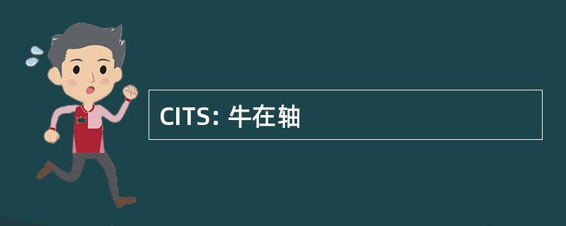 CITS: 牛在轴