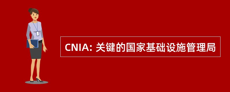 CNIA: 关键的国家基础设施管理局