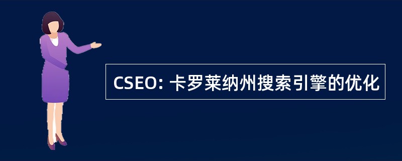 CSEO: 卡罗莱纳州搜索引擎的优化