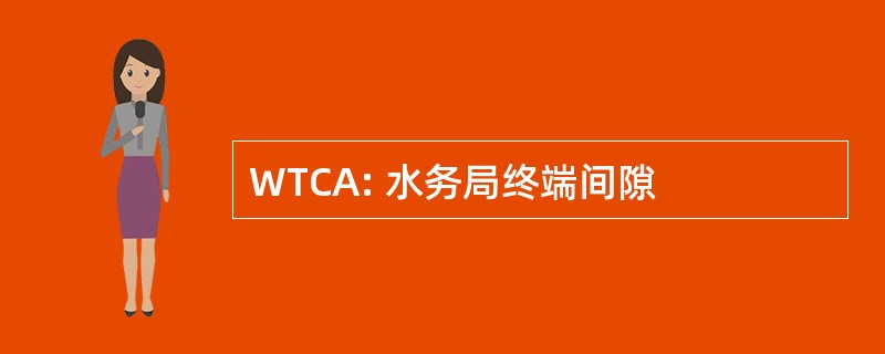 WTCA: 水务局终端间隙