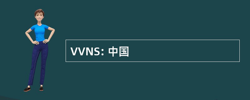 VVNS: 中国