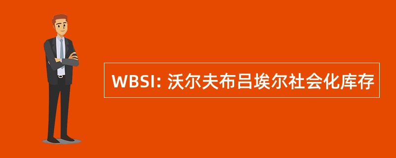 WBSI: 沃尔夫布吕埃尔社会化库存