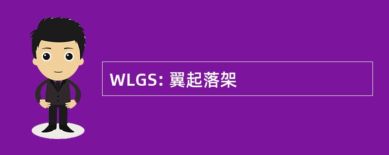 WLGS: 翼起落架