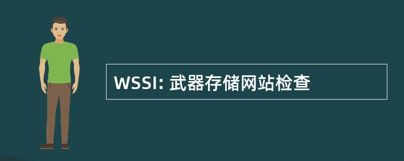 WSSI: 武器存储网站检查