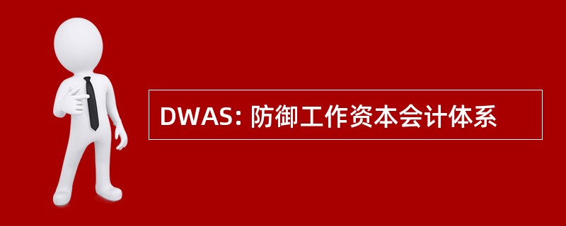 DWAS: 防御工作资本会计体系