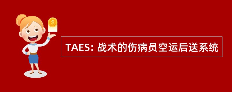 TAES: 战术的伤病员空运后送系统