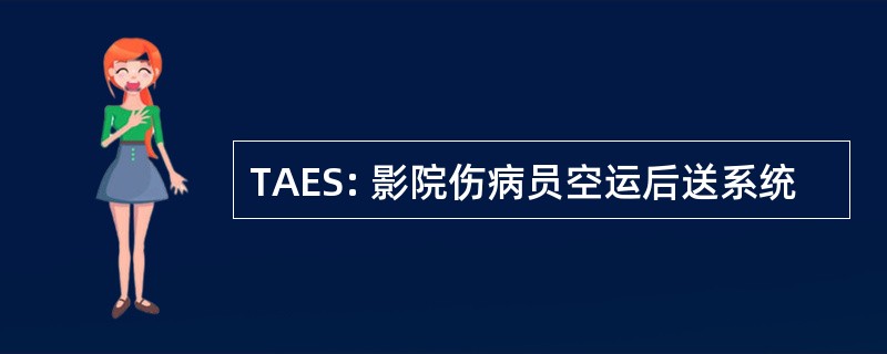 TAES: 影院伤病员空运后送系统