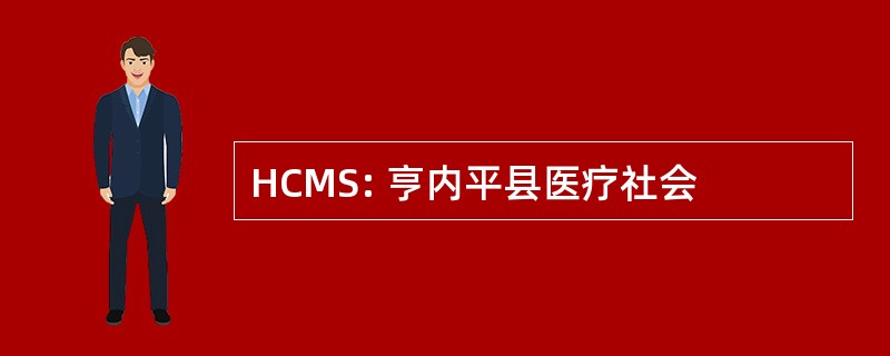 HCMS: 亨内平县医疗社会