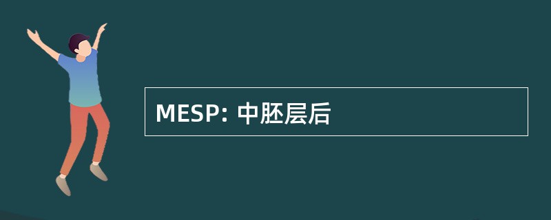 MESP: 中胚层后