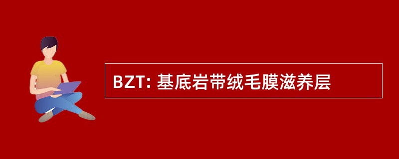 BZT: 基底岩带绒毛膜滋养层