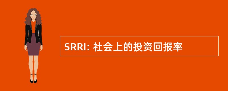 SRRI: 社会上的投资回报率