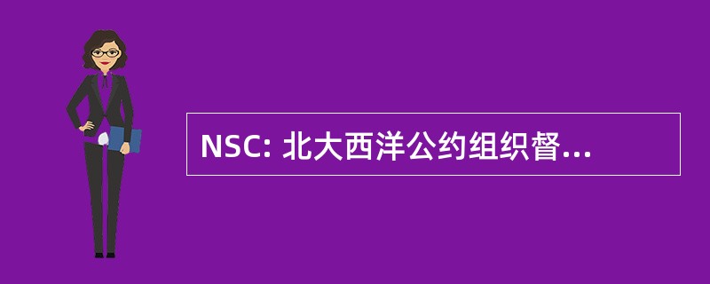 NSC: 北大西洋公约组织督导委员会