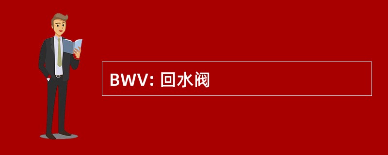 BWV: 回水阀