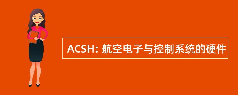 ACSH: 航空电子与控制系统的硬件