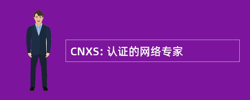 CNXS: 认证的网络专家