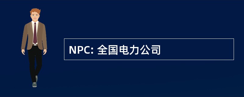 NPC: 全国电力公司