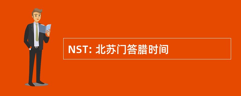 NST: 北苏门答腊时间