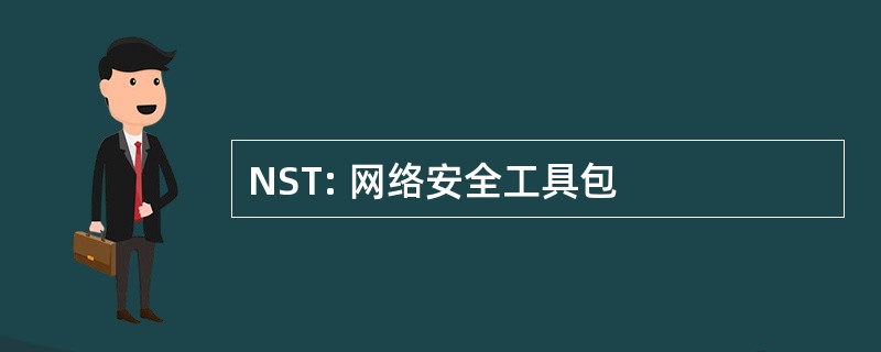 NST: 网络安全工具包