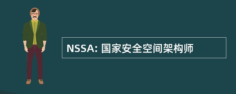 NSSA: 国家安全空间架构师