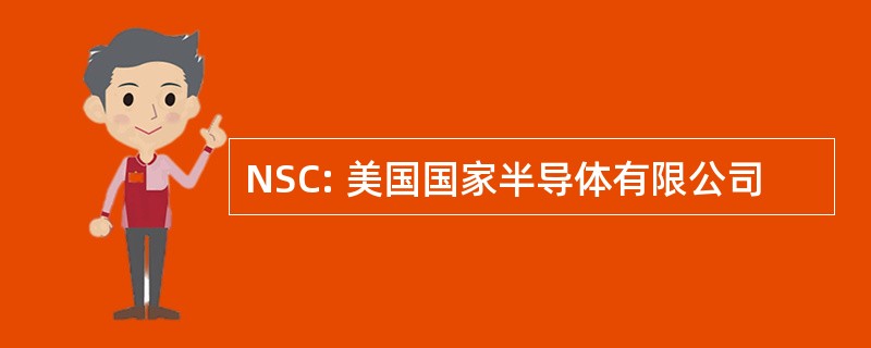 NSC: 美国国家半导体有限公司