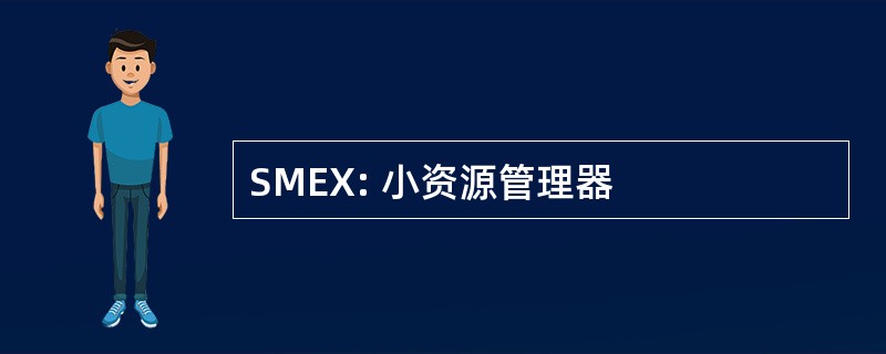 SMEX: 小资源管理器