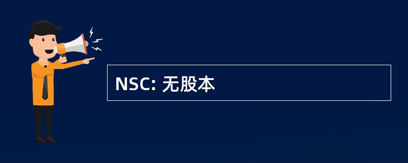 NSC: 无股本